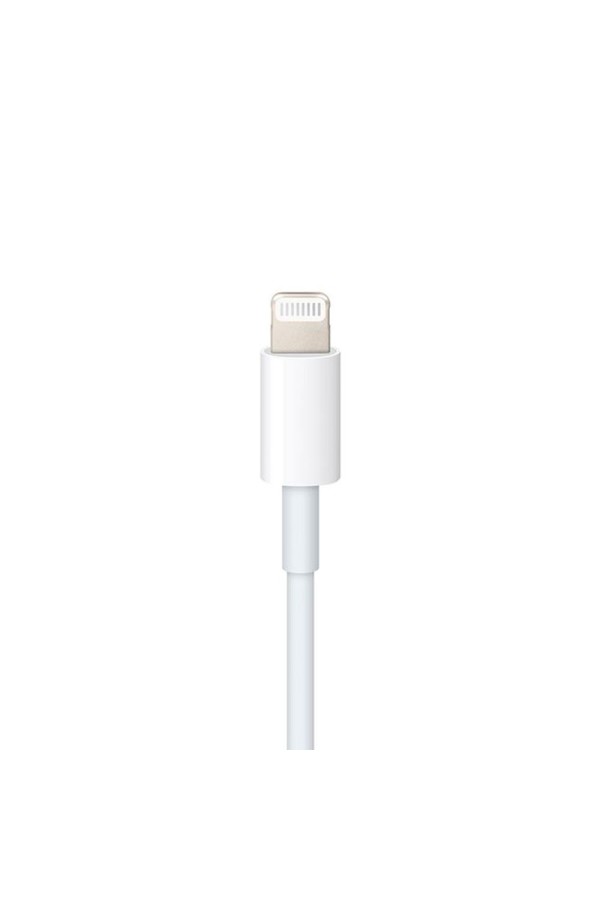 Câble USB-C vers Lightning (1 m)