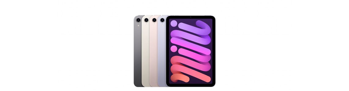 iPad Mini 6 (A17)