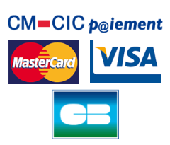 Logo CMCIC
